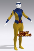 The Web Warrior's Workshop Jean G. Dye Sublimation On Spandex